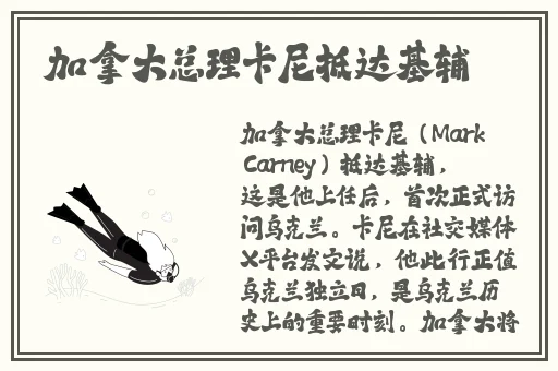 九么1.0.31